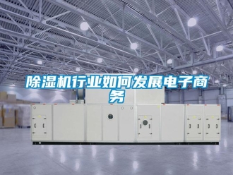 常見問題除濕機(jī)行業(yè)如何發(fā)展電子商務(wù)