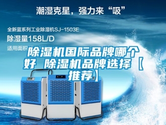 企業新聞除濕機國際品牌哪個好 除濕機品牌選擇【推薦】