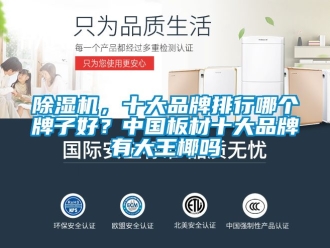 企業(yè)新聞除濕機，十大品牌排行哪個牌子好？中國板材十大品牌有大王椰嗎