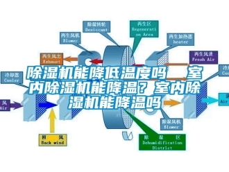 行業(yè)新聞除濕機能降低溫度嗎  室內(nèi)除濕機能降溫？室內(nèi)除濕機能降溫嗎