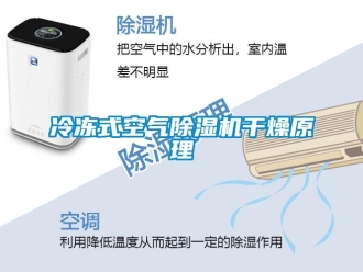 行業(yè)新聞冷凍式空氣除濕機干燥原理