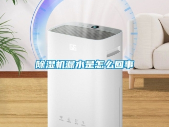 行業新聞除濕機漏水是怎么回事