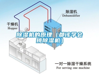 企業(yè)新聞除濕機(jī)的原理（都該學(xué)會(huì)挑除濕機(jī)）