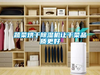 知識百科蔬菜烘干除濕機讓干菜品質更好