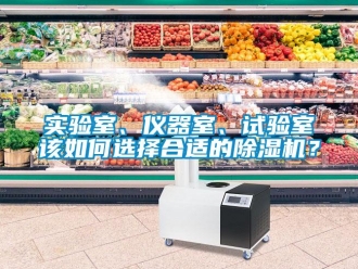 常見問題實驗室、儀器室、試驗室該如何選擇合適的除濕機？