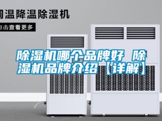 企業新聞除濕機哪個品牌好 除濕機品牌介紹【詳解】