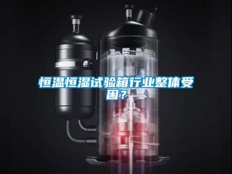 知識百科恒溫恒濕試驗箱行業整體受困？