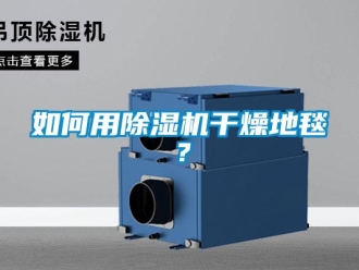 常見問題如何用除濕機干燥地毯？