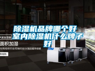 企業新聞除濕機品牌哪個好 室內除濕機什么牌子好