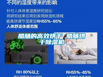 行業(yè)新聞臘腸的高效烘干 臘腸烘干除濕機(jī)