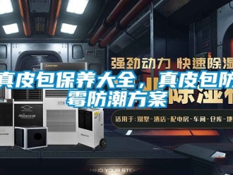 常見問題真皮包保養(yǎng)大全，真皮包防霉防潮方案