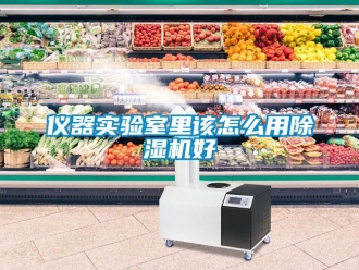 常見問題儀器實驗室里該怎么用除濕機好