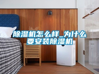 行業新聞除濕機怎么樣_為什么要安裝除濕機