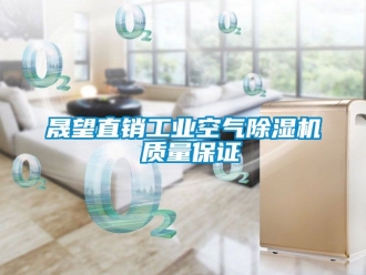 常見問題晟望直銷工業空氣除濕機 質量保證