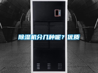 行業新聞除濕機分幾種呢？優質