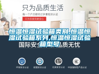 知識百科恒溫恒濕試驗(yàn)箱類別,恒溫恒濕試驗(yàn)箱系列,恒溫恒濕試驗(yàn)箱型號