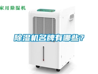 行業新聞除濕機名牌有哪些？