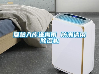 知識百科夏糧入庫逢梅雨 防潮請用除濕機