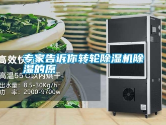知識(shí)百科專(zhuān)家告訴你轉(zhuǎn)輪除濕機(jī)除濕的原