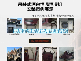 行業新聞面條干燥可以使用除濕機嗎