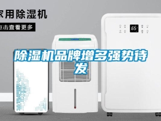 常見問題除濕機品牌增多強勢待發