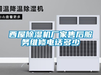 企業(yè)新聞西屋除濕機廠家售后服務維修電話多少