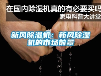 常見(jiàn)問(wèn)題新風(fēng)除濕機(jī)：新風(fēng)除濕機(jī)的市場(chǎng)前景