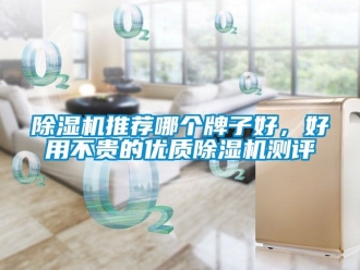 行業新聞除濕機推薦哪個牌子好，好用不貴的優質除濕機測評