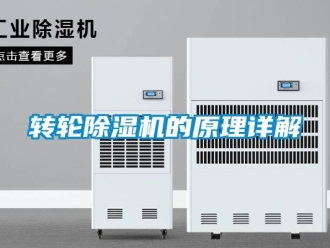 常見問題轉(zhuǎn)輪除濕機的原理詳解