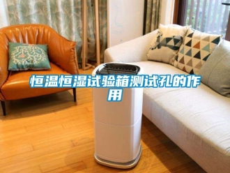 知識百科恒溫恒濕試驗箱測試孔的作用