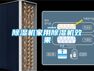 常見問題除濕機(jī)家用除濕機(jī)效果