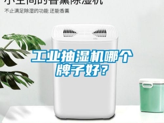 企業(yè)新聞工業(yè)抽濕機(jī)哪個(gè)牌子好？