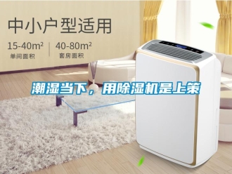 企業新聞潮濕當下，用除濕機是上策