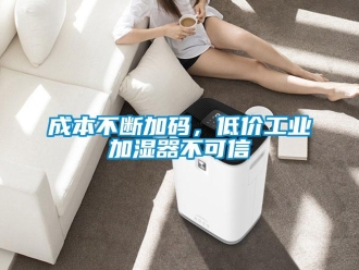 企業新聞成本不斷加碼，低價工業加濕器不可信