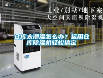 常見問題倉庫太潮濕怎么辦？運用倉庫除濕機輕松搞定