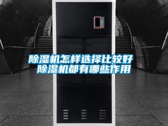 行業(yè)新聞除濕機怎樣選擇比較好 除濕機都有哪些作用