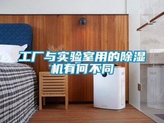 企業新聞工廠與實驗室用的除濕機有何不同