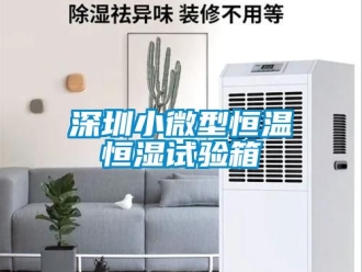 知識百科深圳小微型恒溫恒濕試驗(yàn)箱