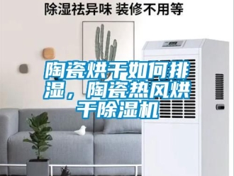 行業新聞陶瓷烘干如何排濕，陶瓷熱風烘干除濕機