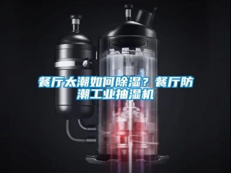 常見問題餐廳太潮如何除濕？餐廳防潮工業抽濕機