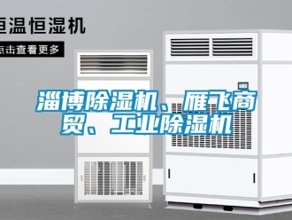常見問題淄博除濕機、雁飛商貿、工業除濕機