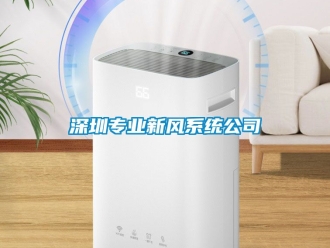 企業新聞深圳專業新風系統公司