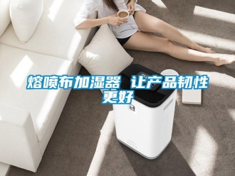 行業新聞熔噴布加濕器 讓產品韌性更好