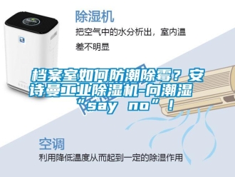 企業新聞檔案室如何防潮除霉？安詩曼工業除濕機-向潮濕“say no”！