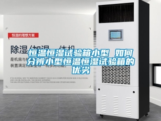 知識百科恒溫恒濕試驗箱小型 如何分辨小型恒溫恒濕試驗箱的優(yōu)劣
