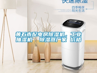 企業新聞黃石市配電房除濕機，工業抽濕機  除濕器廠家 價格
