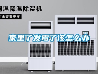 常見問題家里了發(fā)霉了該怎么辦