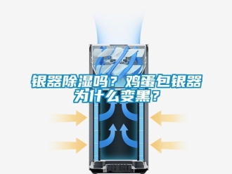 行業(yè)新聞銀器除濕嗎？雞蛋包銀器為什么變黑？