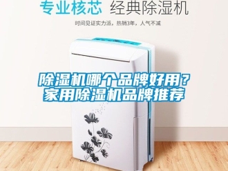 企業新聞除濕機哪個品牌好用？家用除濕機品牌推薦