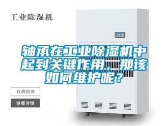 常見問題軸承在工業(yè)除濕機(jī)中起到關(guān)鍵作用，那該如何維護(hù)呢？
